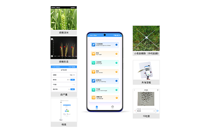辽阳市小麦表型检测仪IN-XM04